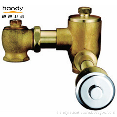 Self Closing Concealed Press Button Flush Valve